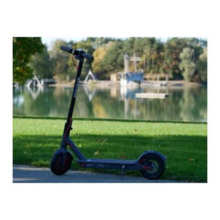 Elektro Scooter 7781Grau