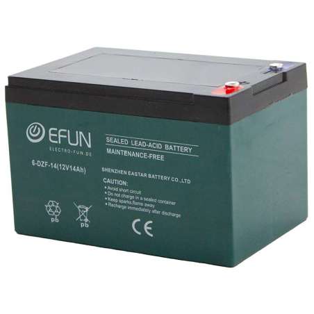 12 Volt Batterie 14 Ah 6-DZF-14 passend für Elektro Fahrzeuge von Electro-fun