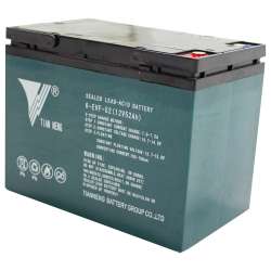 Akku 12 V 52 Ah 6-EVF-52 passend für Elektro Fahrzeuge