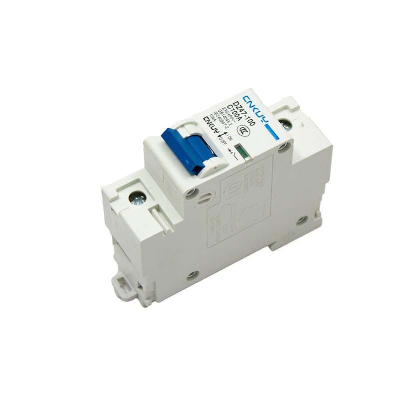 Sicherungsschalter DZ47 100A für Eco Engel 3000