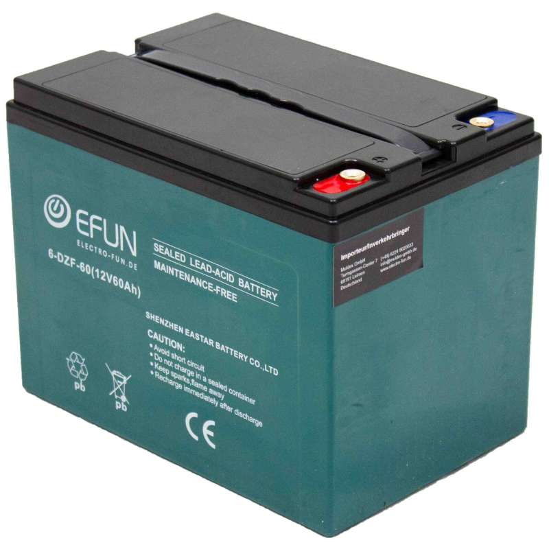Akku 12 V 60 Ah 6-DZF-60 passend für Elektro Fahrzeuge