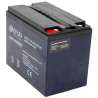 Akku 12 V 52 Ah 6-DZF-52 passend für Elektro Fahrzeuge